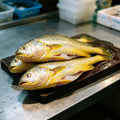 Fresh Whole Golden Yellow Croaker 1