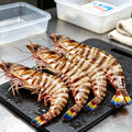Fresh Japanese Tiger Prawns 1